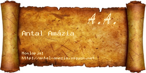 Antal Amázia névjegykártya